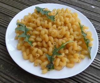 Macaroni(seren)