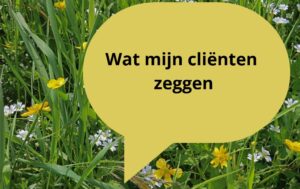 Wat mijn cliënten zeggen
