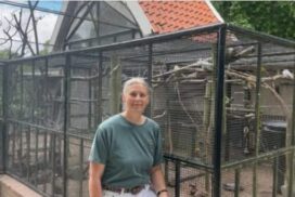 Joke in het Singelpark in Leiden