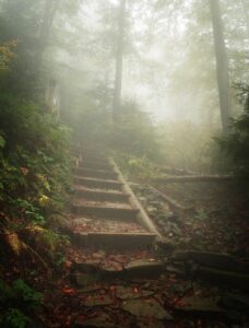 Wandelpad